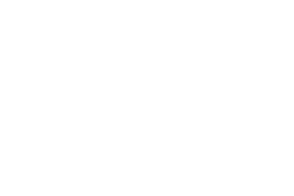 WikiShop logo